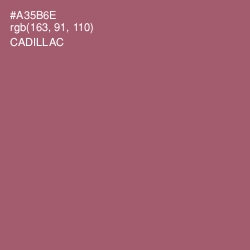 #A35B6E - Cadillac Color Image