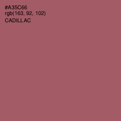 #A35C66 - Cadillac Color Image