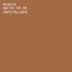 #A36C44 - Cape Palliser Color Image