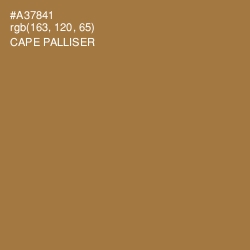 #A37841 - Cape Palliser Color Image