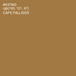 #A37943 - Cape Palliser Color Image
