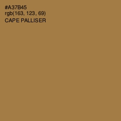 #A37B45 - Cape Palliser Color Image