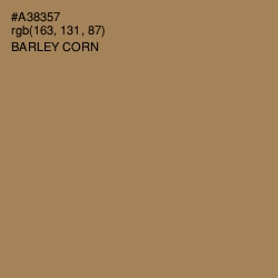 #A38357 - Barley Corn Color Image