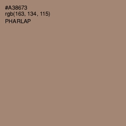 #A38673 - Pharlap Color Image
