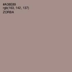 #A38E89 - Zorba Color Image