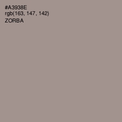 #A3938E - Zorba Color Image