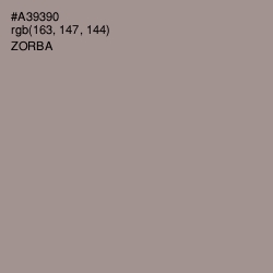 #A39390 - Zorba Color Image