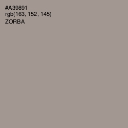 #A39891 - Zorba Color Image