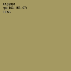 #A39961 - Teak Color Image