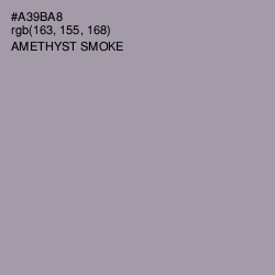 #A39BA8 - Amethyst Smoke Color Image
