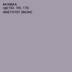 #A39BAA - Amethyst Smoke Color Image