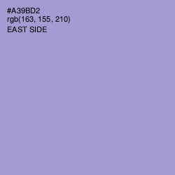 #A39BD2 - East Side Color Image