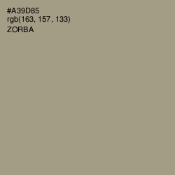 #A39D85 - Zorba Color Image