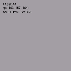 #A39DA4 - Amethyst Smoke Color Image