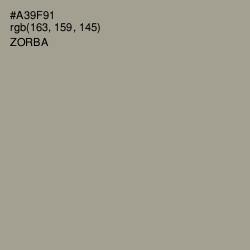 #A39F91 - Zorba Color Image