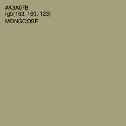 #A3A07B - Mongoose Color Image