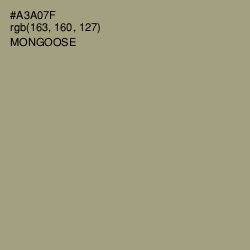 #A3A07F - Mongoose Color Image
