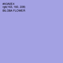 #A3A0E4 - Biloba Flower Color Image