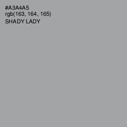 #A3A4A5 - Shady Lady Color Image