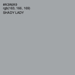 #A3A6A9 - Shady Lady Color Image