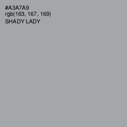 #A3A7A9 - Shady Lady Color Image