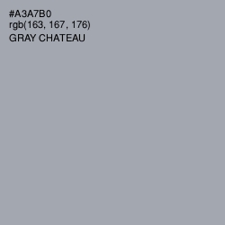 #A3A7B0 - Gray Chateau Color Image