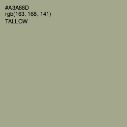 #A3A88D - Tallow Color Image