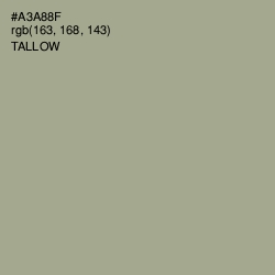 #A3A88F - Tallow Color Image