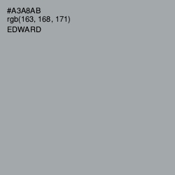 #A3A8AB - Edward Color Image