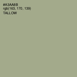 #A3AA8B - Tallow Color Image