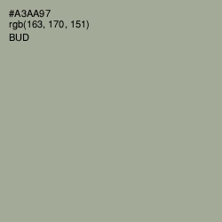 #A3AA97 - Bud Color Image