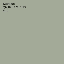#A3AB98 - Bud Color Image