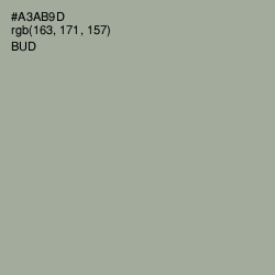 #A3AB9D - Bud Color Image