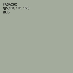 #A3AC9C - Bud Color Image