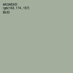 #A3AE9D - Bud Color Image