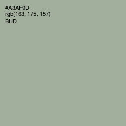 #A3AF9D - Bud Color Image