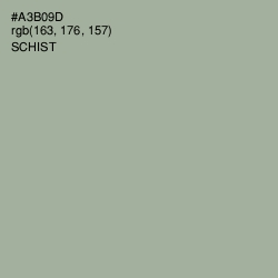 #A3B09D - Schist Color Image