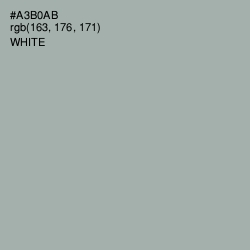 #A3B0AB - Edward Color Image