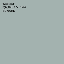 #A3B1AF - Edward Color Image