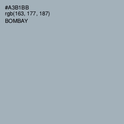 #A3B1BB - Bombay Color Image