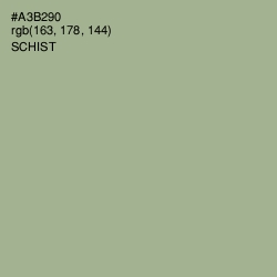 #A3B290 - Schist Color Image
