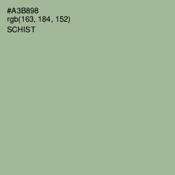 #A3B898 - Schist Color Image