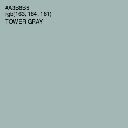 #A3B8B5 - Tower Gray Color Image