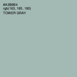 #A3B9B4 - Tower Gray Color Image