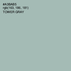 #A3BAB5 - Tower Gray Color Image