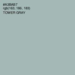 #A3BAB7 - Tower Gray Color Image
