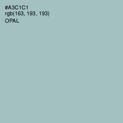 #A3C1C1 - Opal Color Image