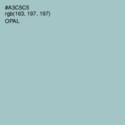 #A3C5C5 - Opal Color Image