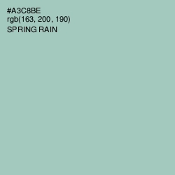 #A3C8BE - Spring Rain Color Image