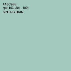 #A3C9BE - Spring Rain Color Image